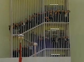 1-qsani-sazogadoebaa3