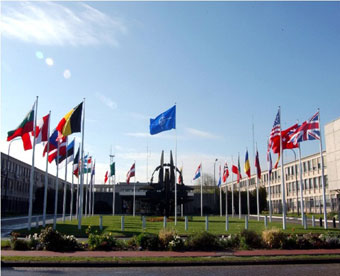 1-Nato-aqtuaa1