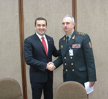 Samartali-3-alasania