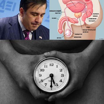 1-teleinter-pol-1-red