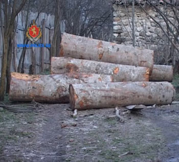 1-drevesina-samart-2