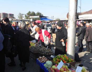 garemovachreebi-zugdidi